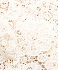 Self Portrait 'Floral Guipure Midi Dress' Clothing