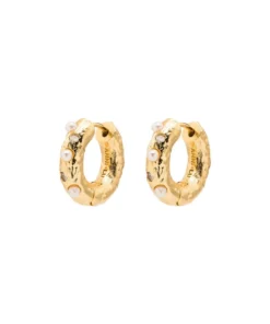 ANNI LU ‘Gem In A Hoop 22’ Earrings New In