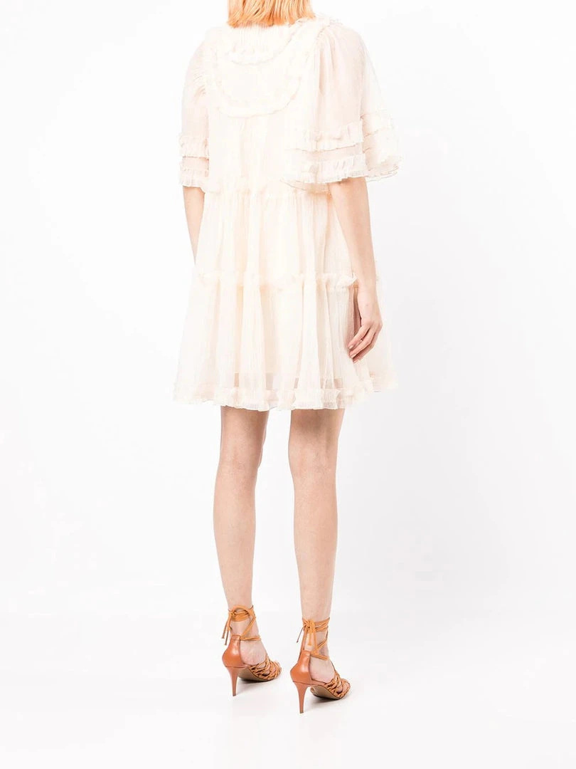 Stella Nova 'Elaya' Sheer Ruffle Mini Dress 11 Stella Nova 'Elaya' Sheer Ruffle Mini Dress